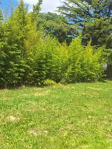 Terrain à bâtir, 700 m²