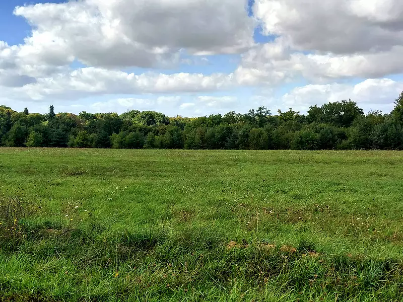 Terrain à bâtir, 758 m² - Chambourg-sur-Indre (37310)