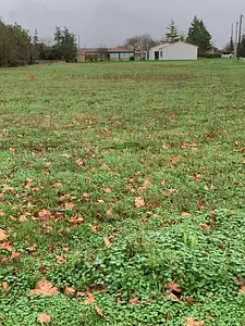 Terrain à bâtir, 586 m²