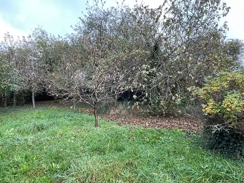 Maison neuve, 118 m² - Le Palais-sur-Vienne (87410)