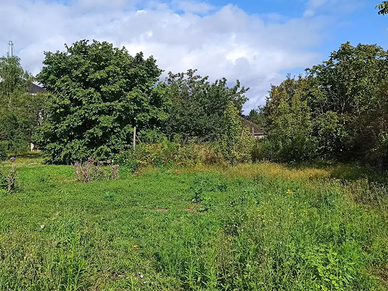 Terrain à bâtir, 1 100 m² - Saint-Aignan (41110)