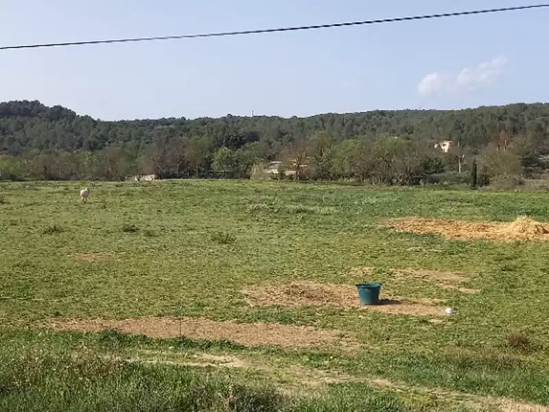 Terrain à bâtir, 558 m² - Quarante (34310)