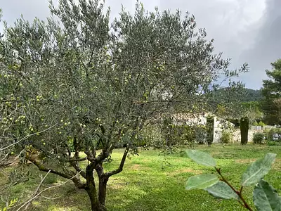 Terrain à bâtir, 530 m²