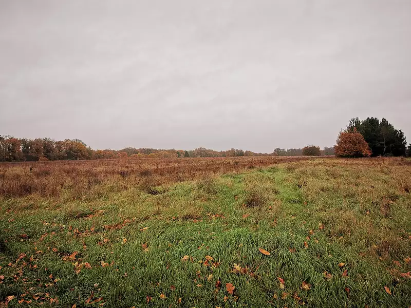 Terrain à bâtir, 1 665 m² - Beaulieu-lès-Loches (37600)