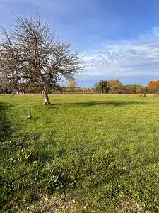 Maison neuve, 64 m²