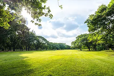 Terrain à bâtir, 345 m²