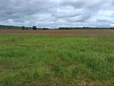 Maison neuve, 80 m²