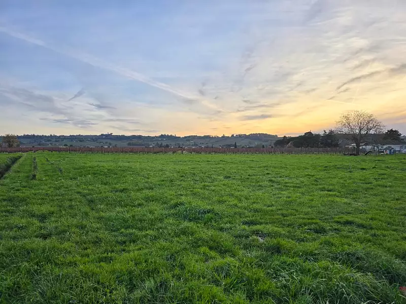 Terrain à bâtir, 1 657 m² - Saint-Laurent-des-Vignes (24100)