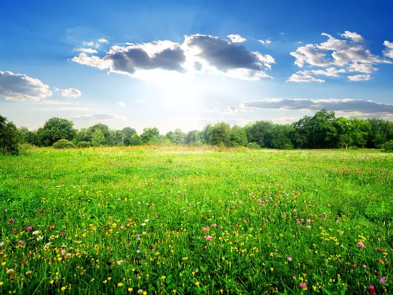 Terrain à bâtir, 660 m² - Saint-Laurent-Médoc (33112)