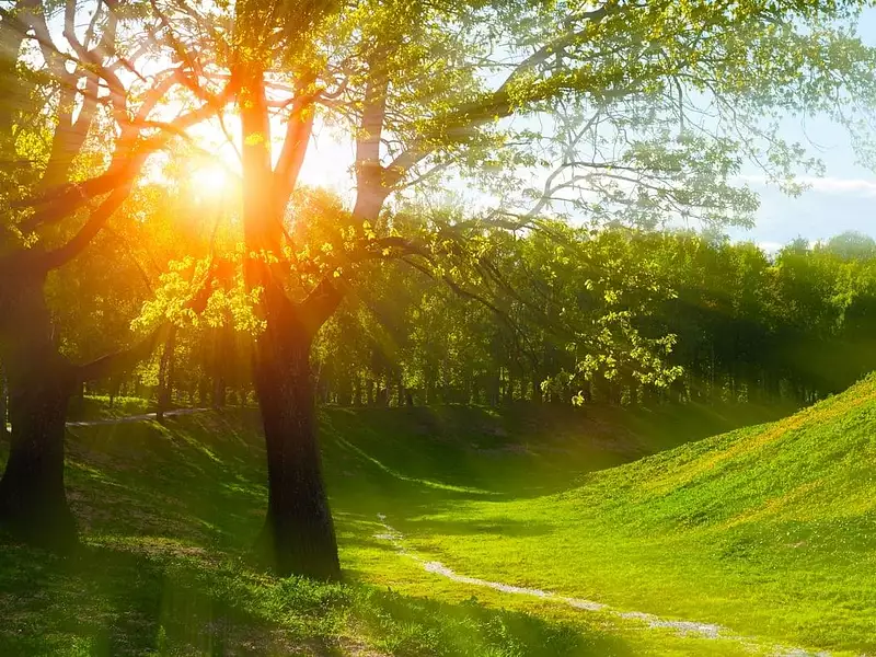 Terrain à bâtir, 1 327 m² - Plaimpied-Givaudins (18340)
