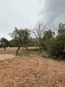 Maison neuve, 83 m²