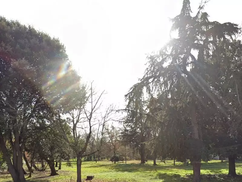 Terrain à bâtir, 1 205 m² - Longages (31410)