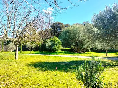 Maison neuve, 90 m²