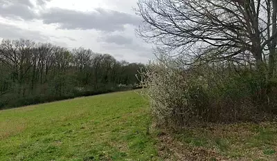 Maison neuve, 90 m²