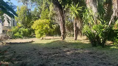 Terrain à bâtir, 515 m²