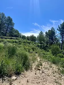 Terrain à bâtir, 1 289 m²