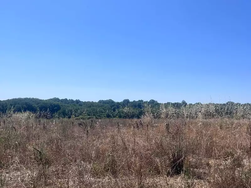 Terrain à bâtir, 303 m² - Saint-Augustin (17570)