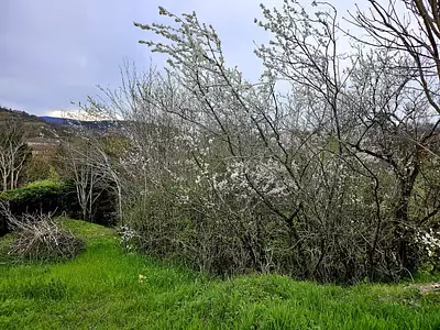 Terrain à bâtir, 909 m²