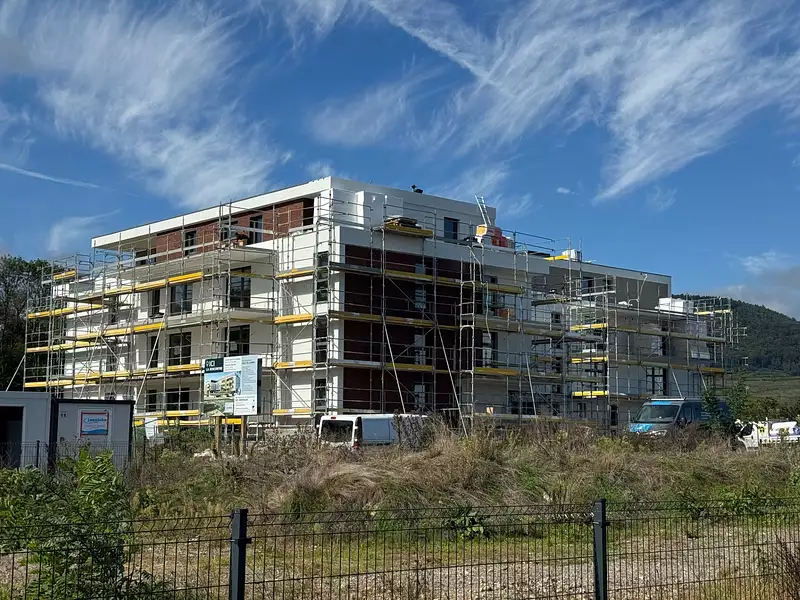 Journée découverte à Issenheim  le 22/11 - Issenheim (68500)