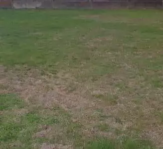 Maison neuve, 85 m²