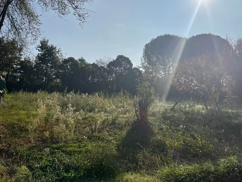 Terrain à bâtir, 504 m² - Albi (81000)