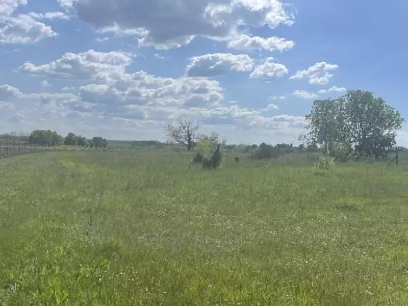 Terrain à bâtir, 2 212 m² - Jarnac-Champagne (17520)