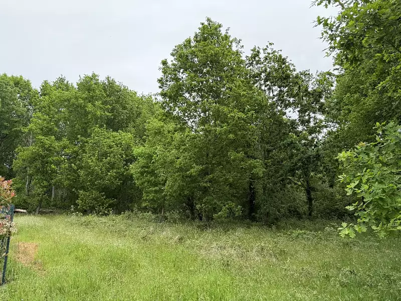 Terrain à bâtir, 1 292 m² - Mios (33380)