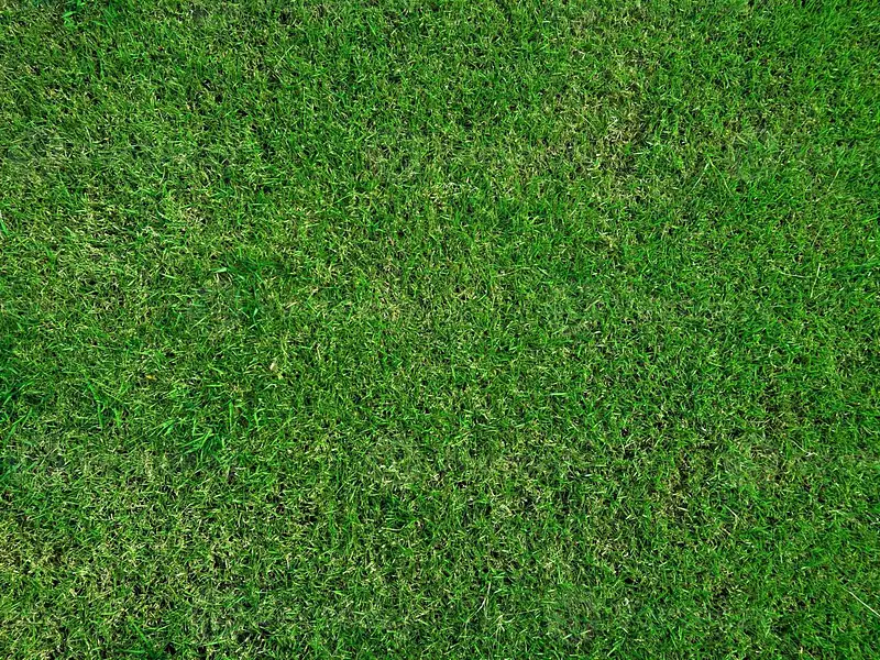 Terrain à bâtir, 1 355 m² - Marcilly-sur-Vienne (37800)