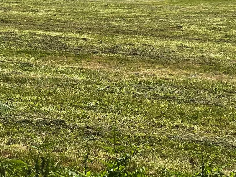 Terrain à bâtir, 489 m² - Chaniers (17610)