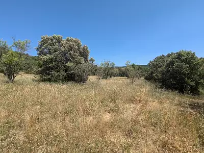 Terrain à bâtir, 1 215 m²