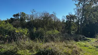 Terrain à bâtir, 1 000 m²