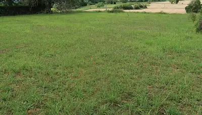 Maison neuve, 82 m²