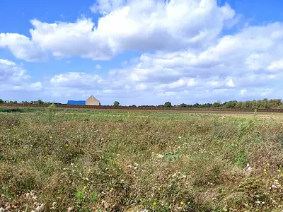 Maison neuve, 83 m²