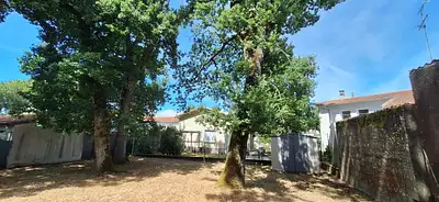 Terrain à bâtir, 463 m²