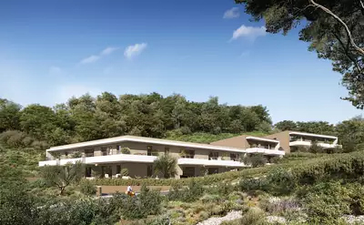 Le clos des oliviers