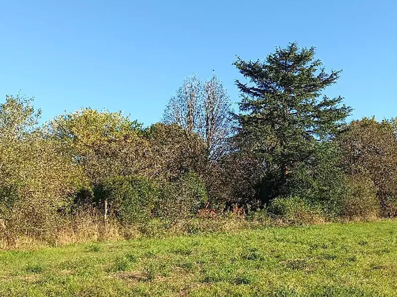 Terrain à bâtir, 1 980 m² - Saint-Martial-d'Artenset (24700)