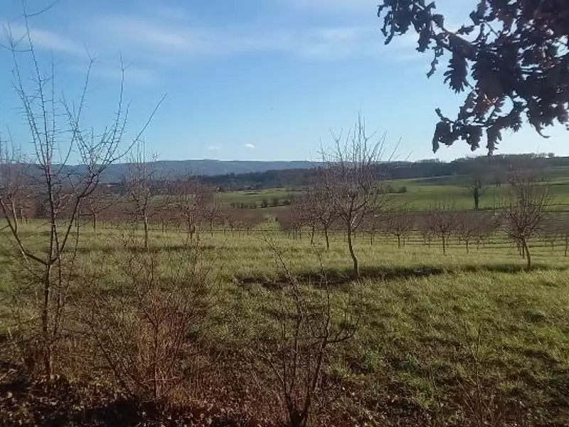 Terrain à bâtir, 850 m² - Cambounet-sur-le-Sor (81580)