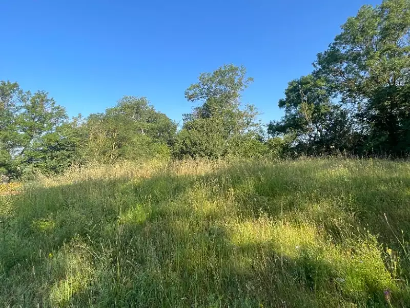 Maison neuve, 95 m² - Villefranche-de-Lauragais (31290)