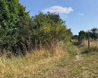 Maison neuve, 110 m²