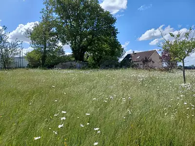 Terrain à bâtir, 826 m²