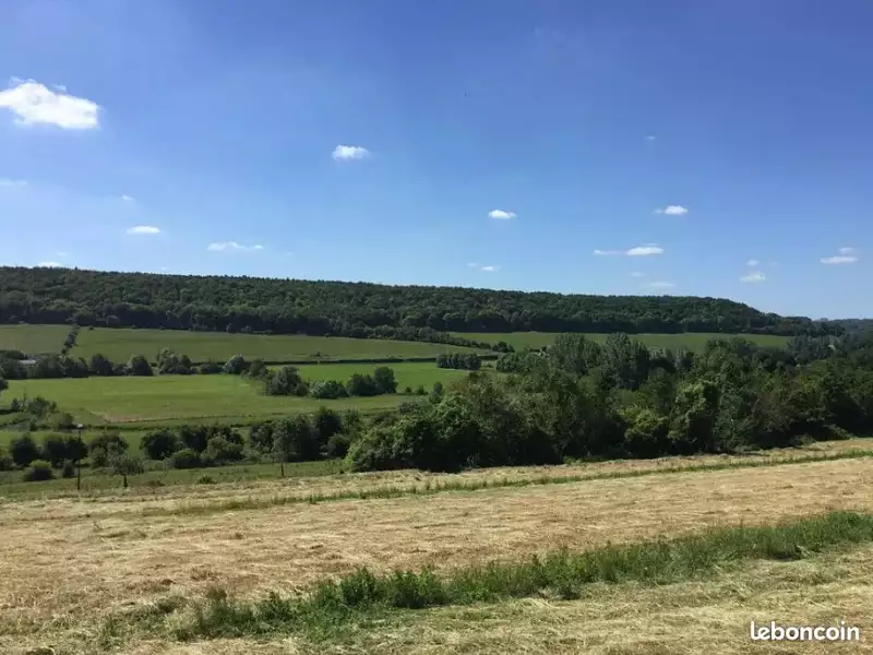 Maison neuve, 225 m² - Longueville-sur-Scie (76590)