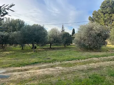 Maison neuve, 80 m²