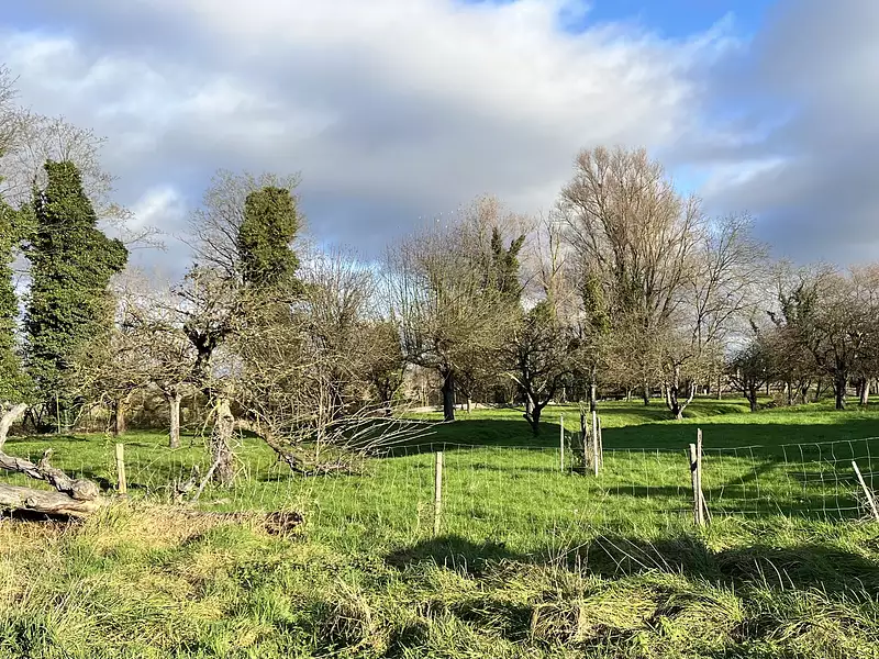 Terrain à bâtir, 1 287 m² - Baldenheim (67600)