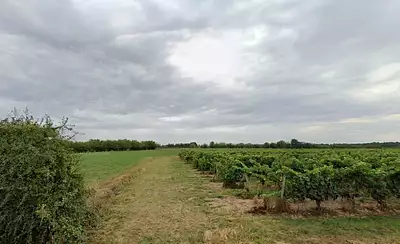 Terrain à bâtir, 528 m²