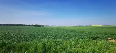 Maison neuve, 89 m²