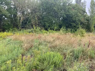 Maison neuve, 90 m²