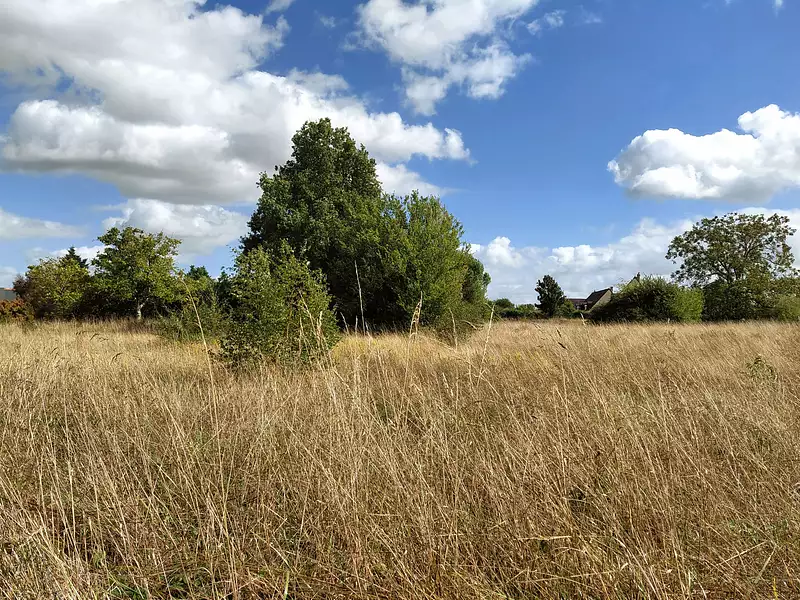 Terrain à bâtir, 540 m² - Azay-sur-Cher (37270)