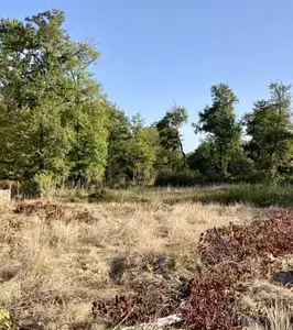 Terrain à bâtir, 580 m²