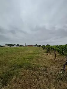 Maison neuve, 65 m²