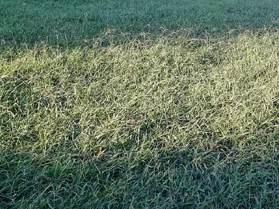 Maison neuve, 125 m²